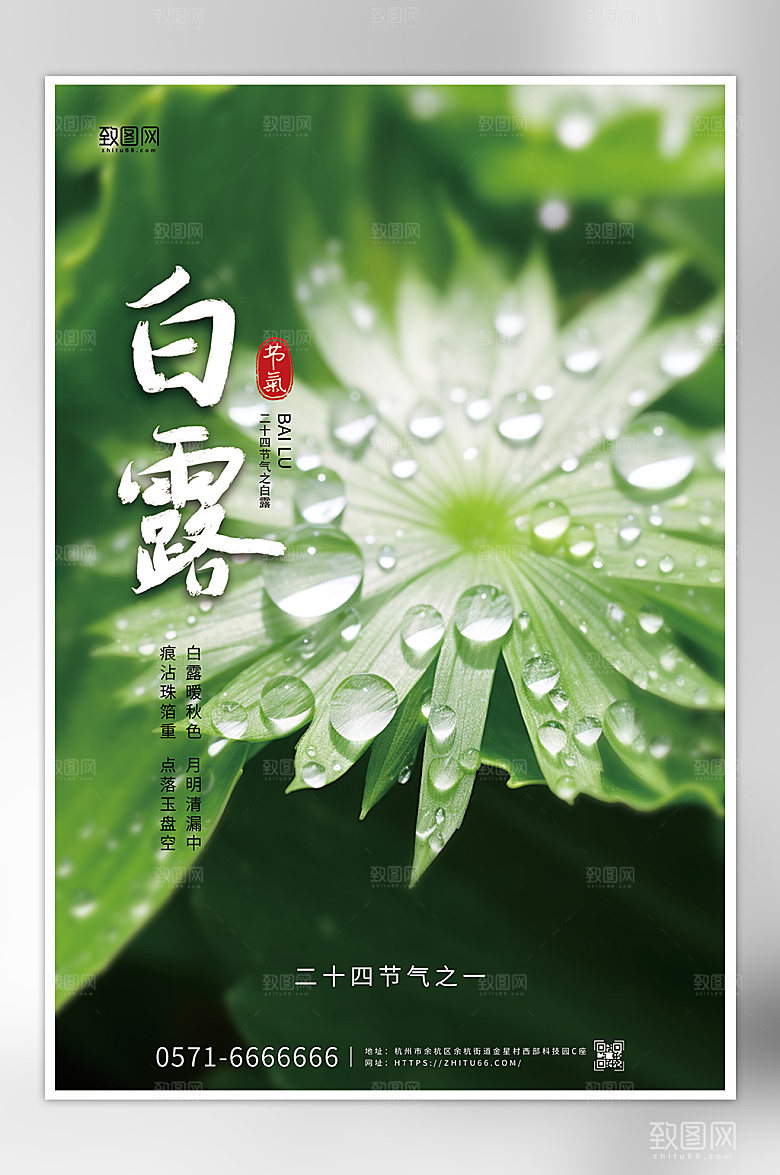 白露24节气之一宣传海报