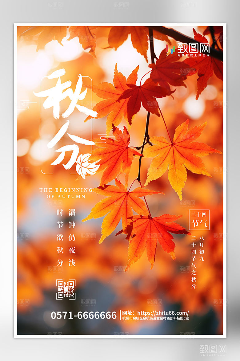 二十四节气秋分海报