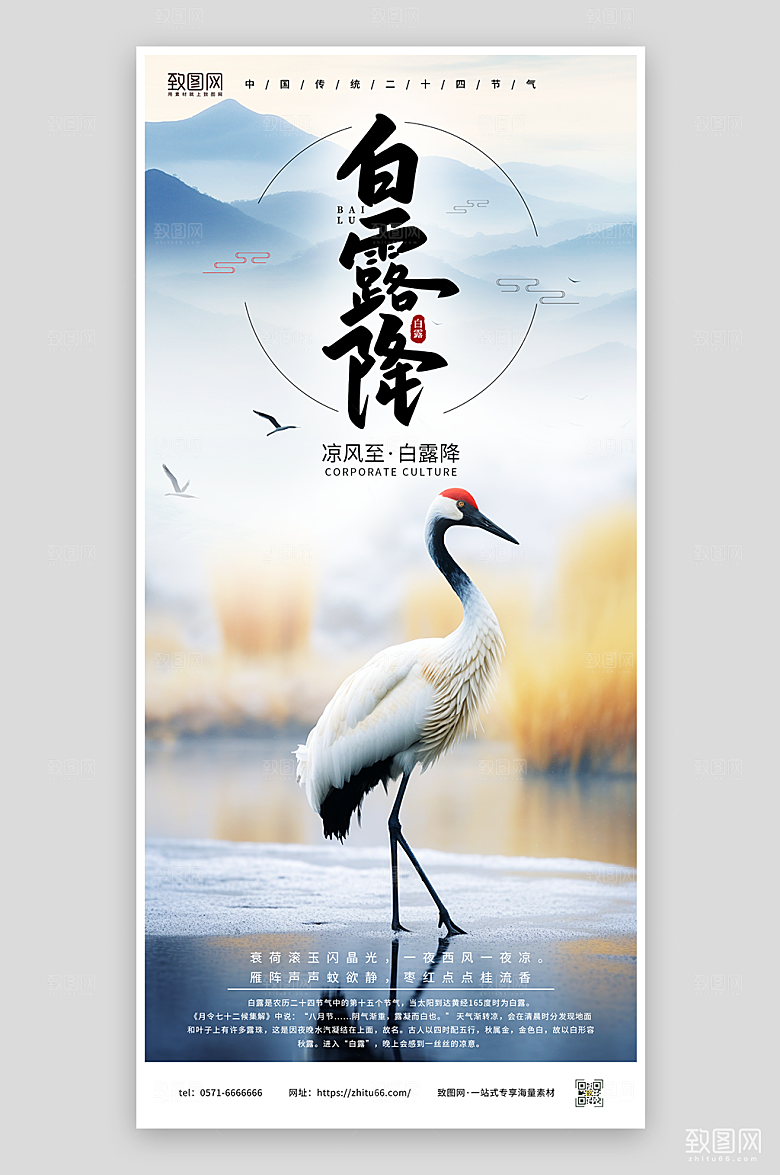 白露节气宣传海报