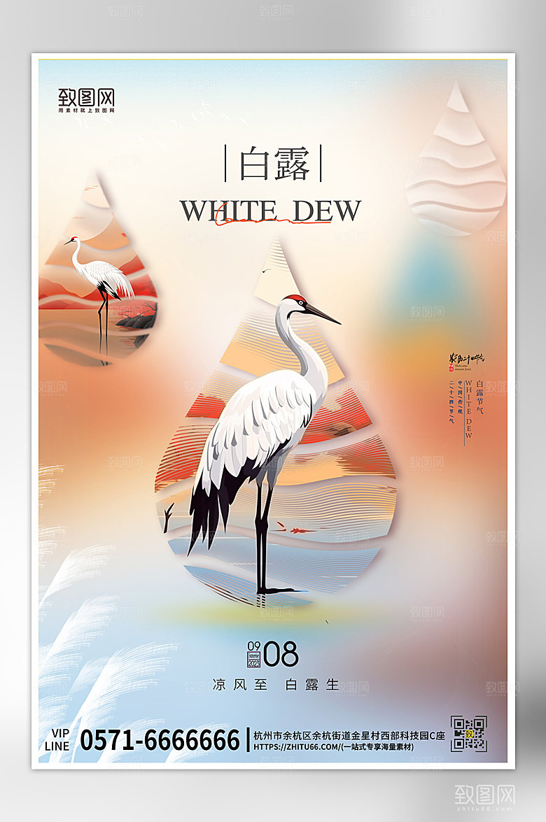 传统节气白露创意海报