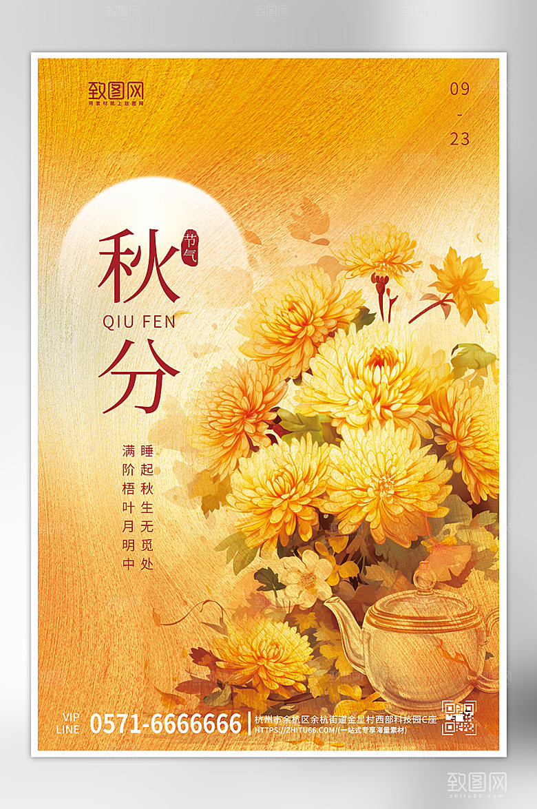 传统节气秋分菊花海报