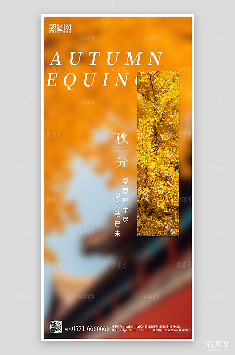 中国传统节气秋分简约风景图手机海报