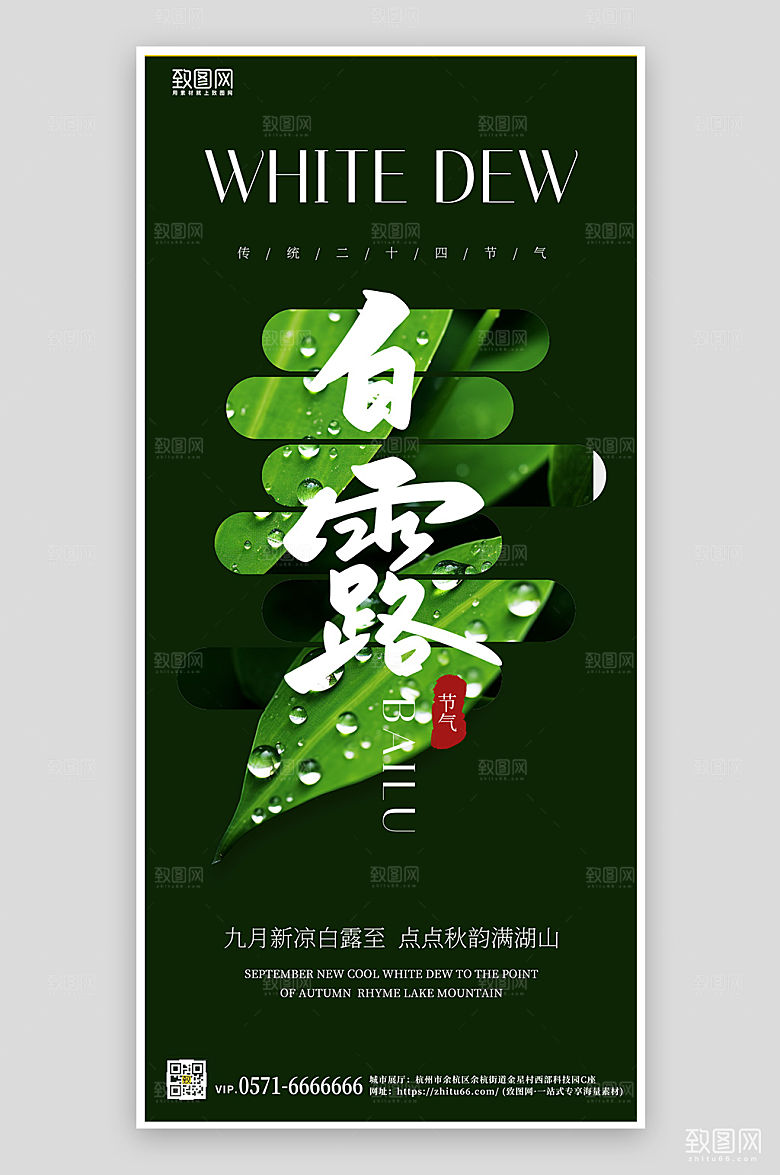 白露绿色简约绿叶手机海报