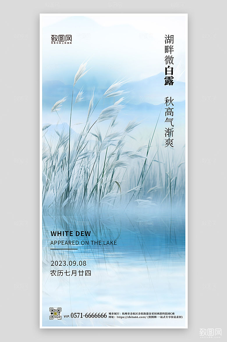 传统节气白露简约芦苇手机海报
