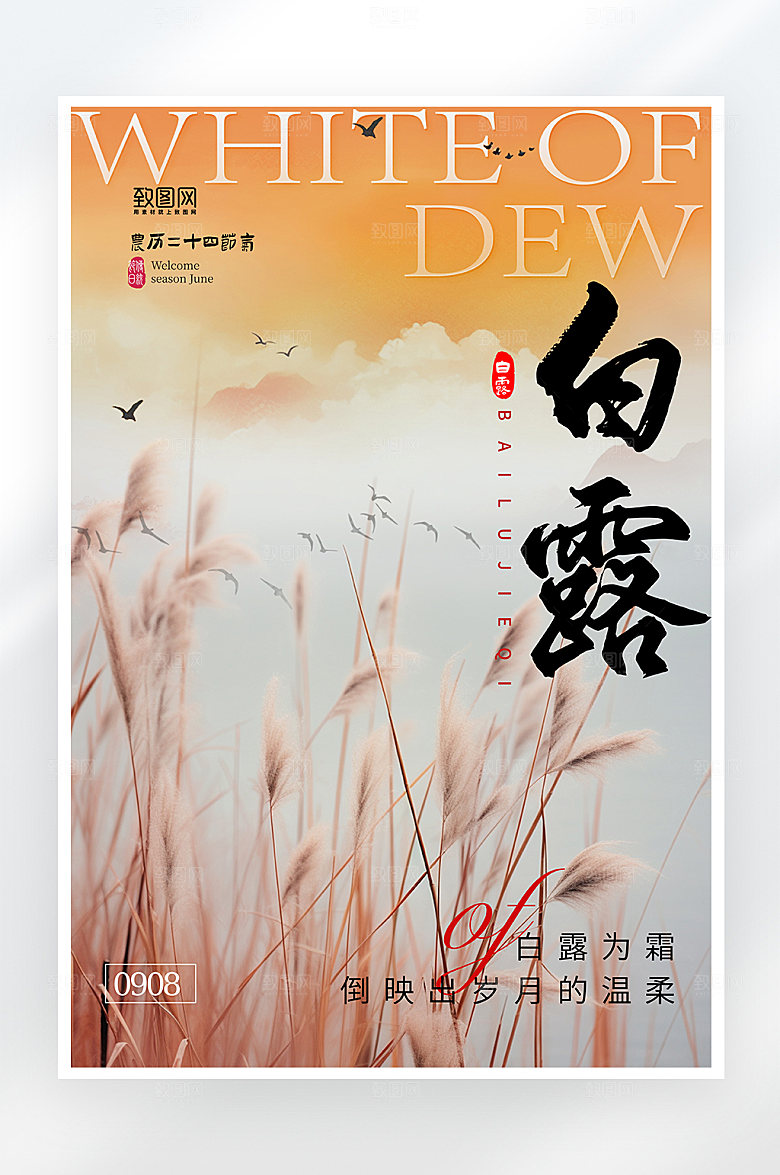 简约大气白露节气海报