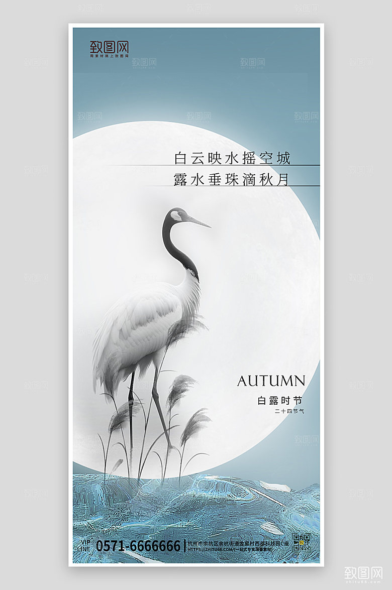 传统节气白露简约中国风手机海报