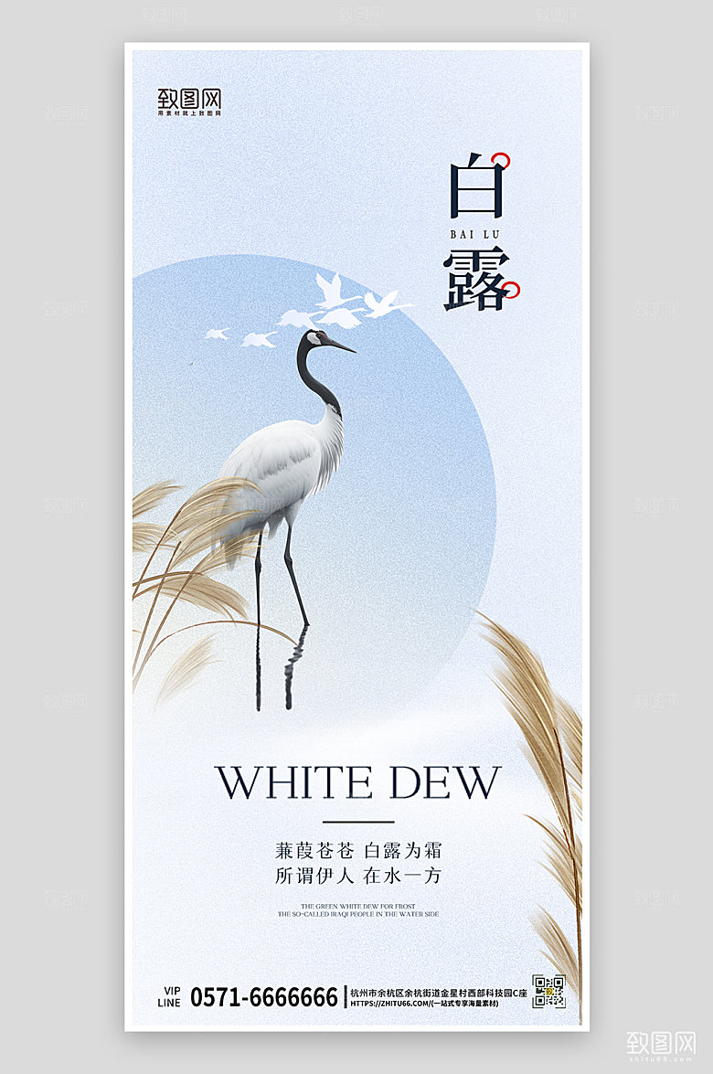 传统节气白露简约中国风手机海报