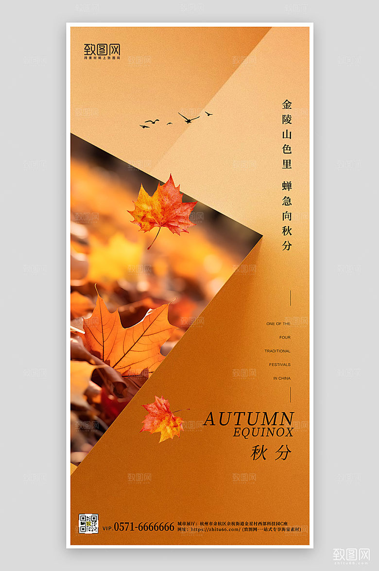 传统节气秋分简约落叶手机海报