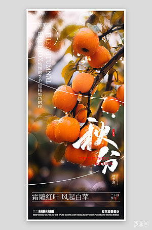 秋分风景节气海报