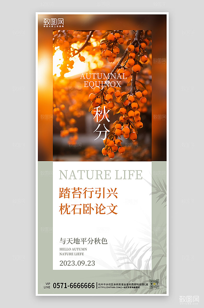 中国传统节气秋分简约手机海报
