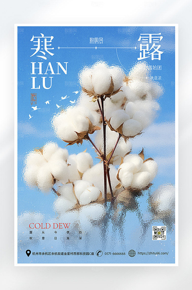 简约大气寒露节气海报