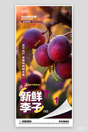 李子水果促销海报