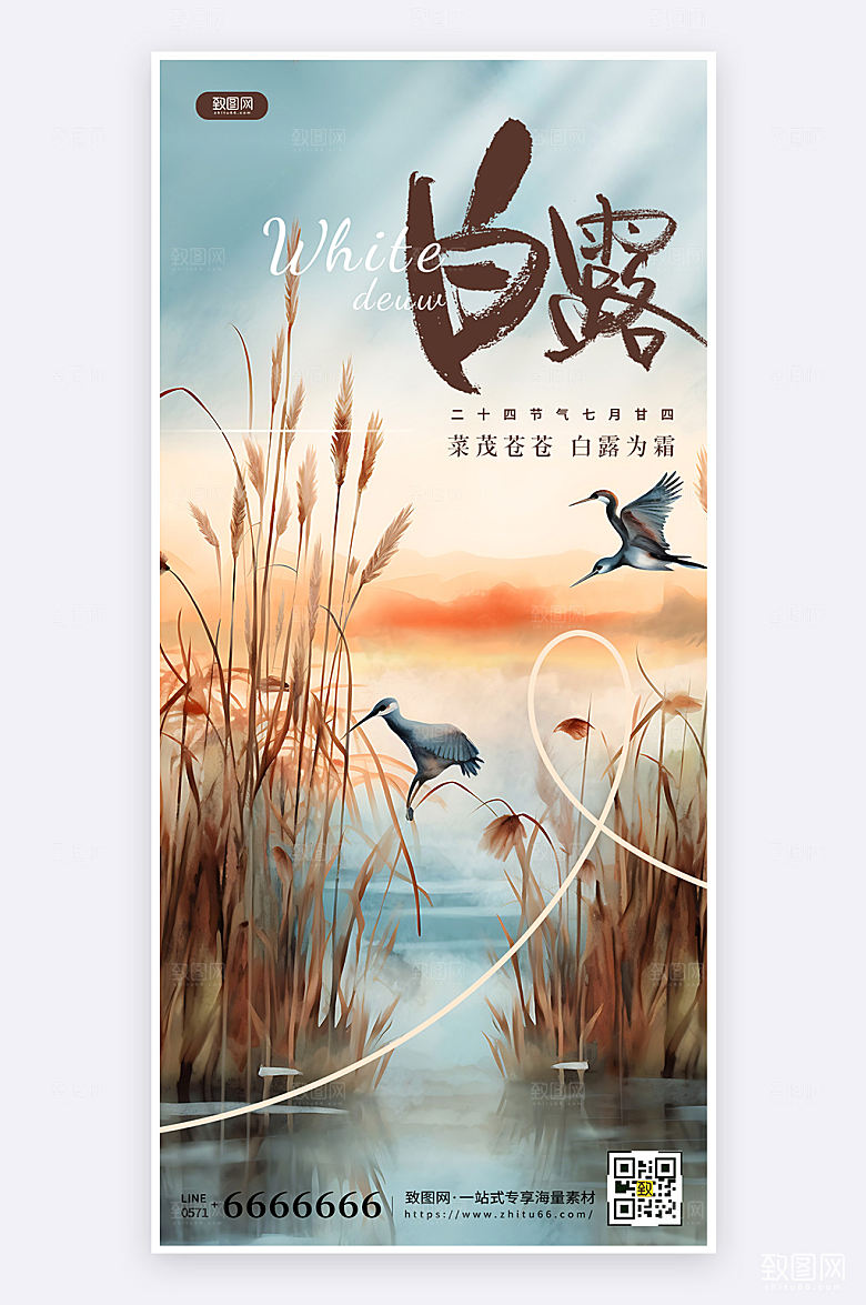 白露节气宣传摄影风简约大气手机海报