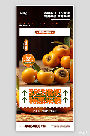 水果促销活动枇杷海报