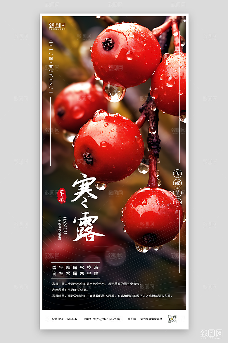 寒露节气宣传海报