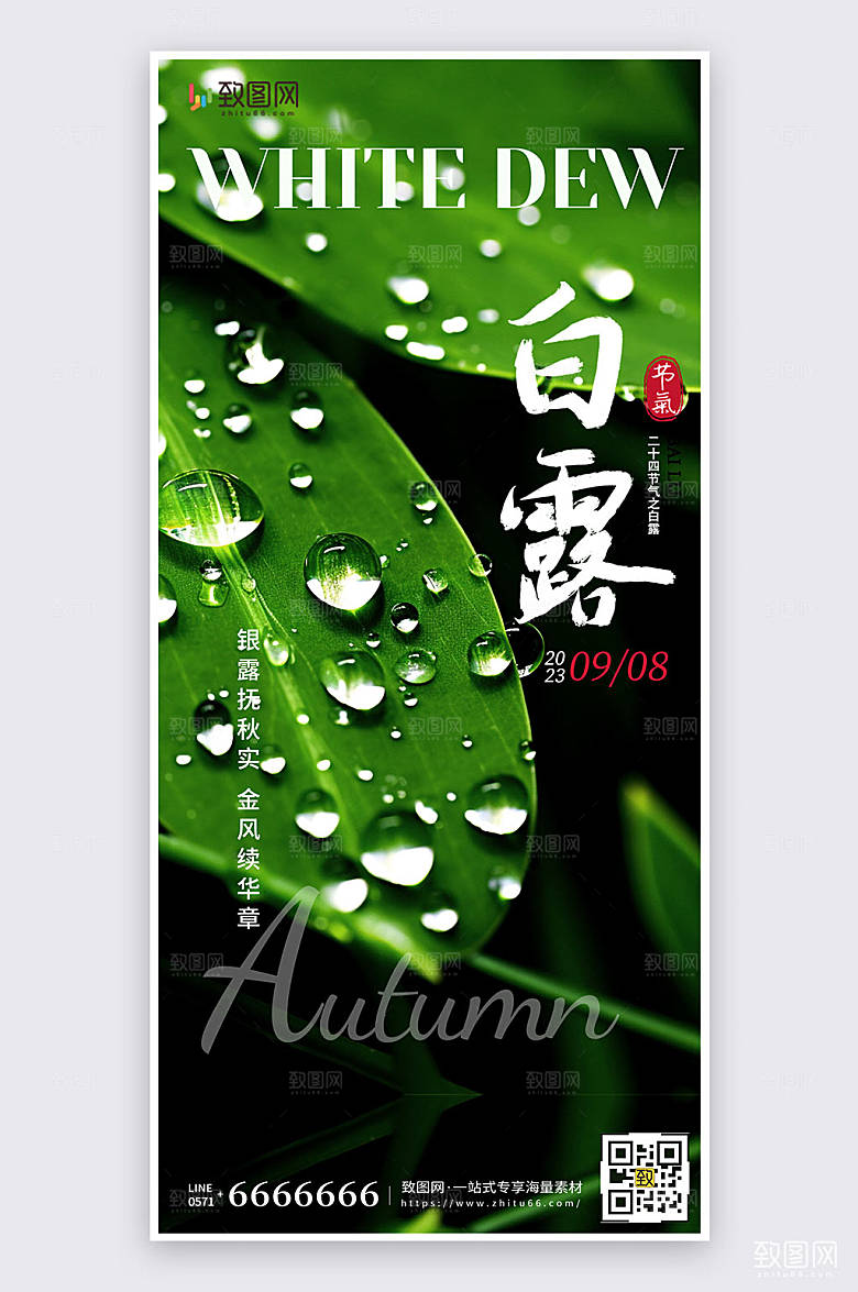 摄影风简约大气白露节气宣传手机海报