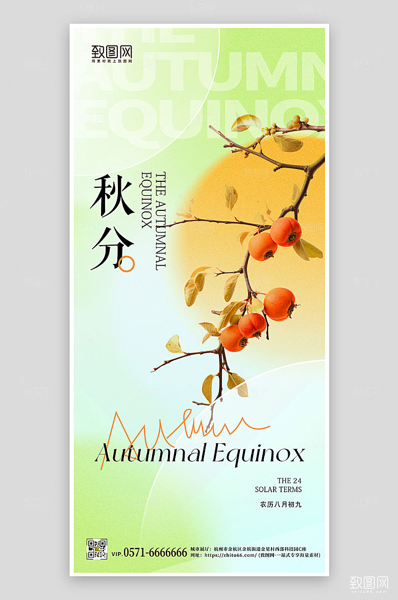 中国传统节气秋分柿子手机海报