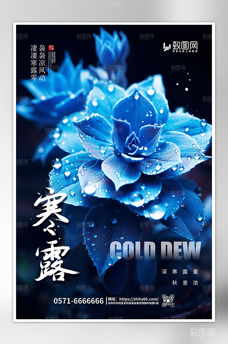 露水鲜花寒露二十四节气海报