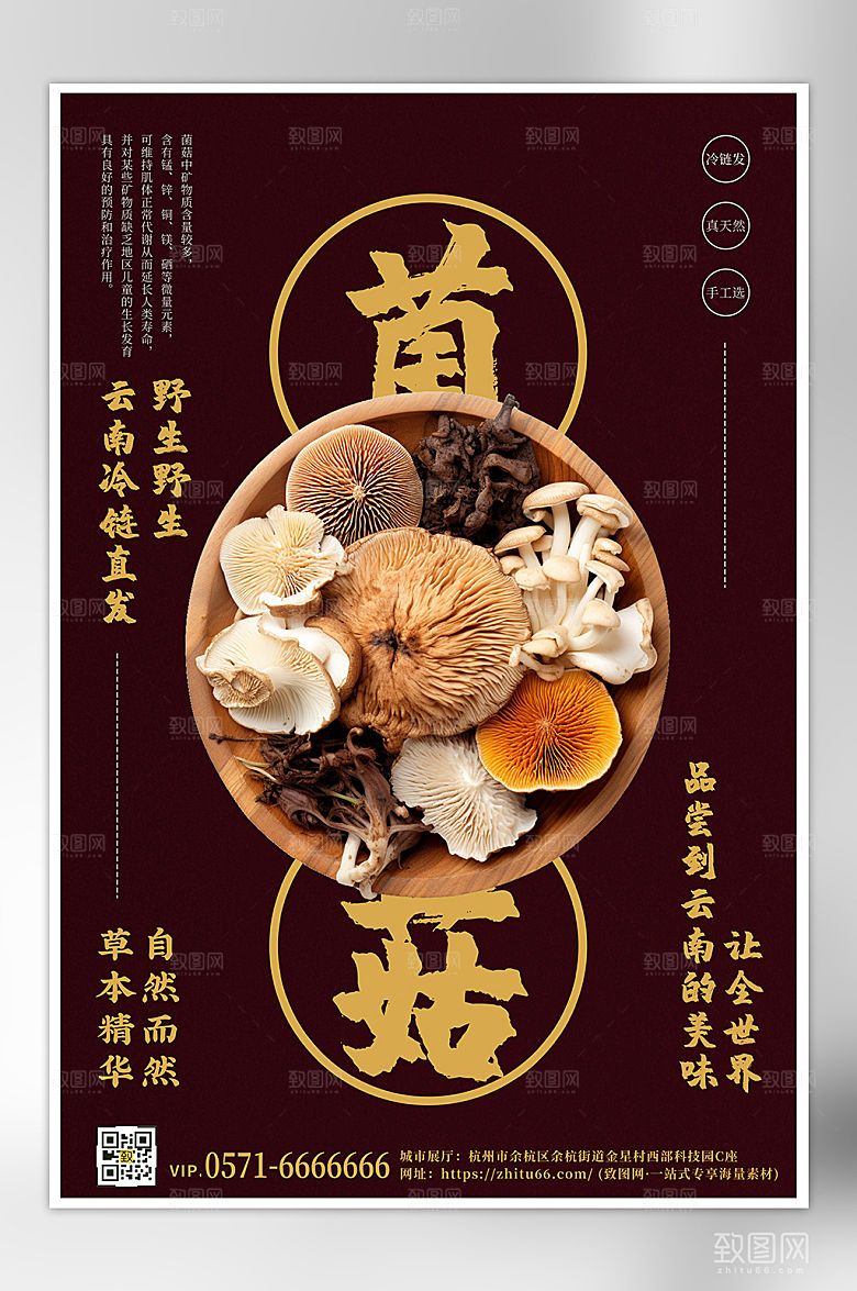 云南菌菇拼盘海报