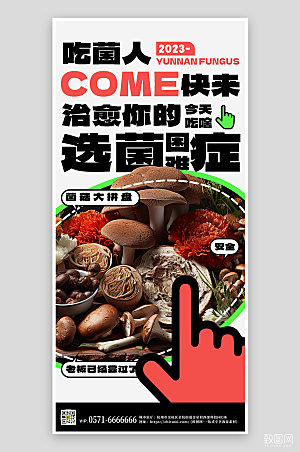 云南特色菌菇拼盘手机海报