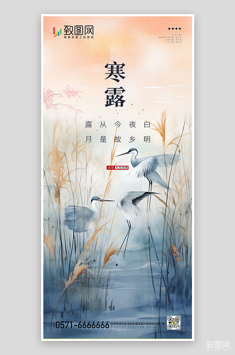 简约大气寒露传统节气艺术海报