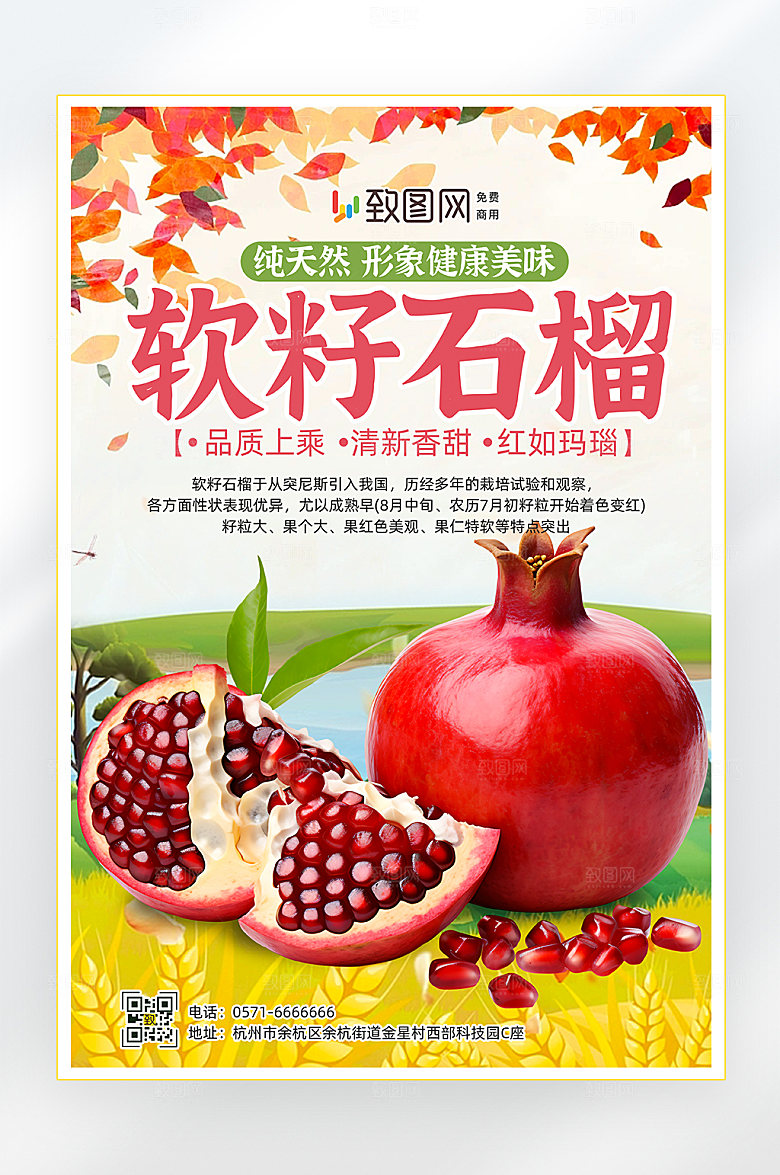 软籽石榴宣传海报