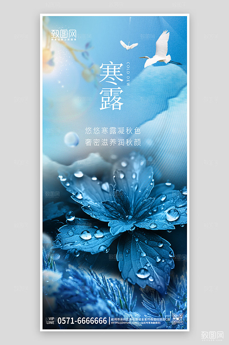 中国传统节气寒露简约手机海报