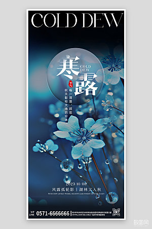 中国传统节气寒露简约手机海报