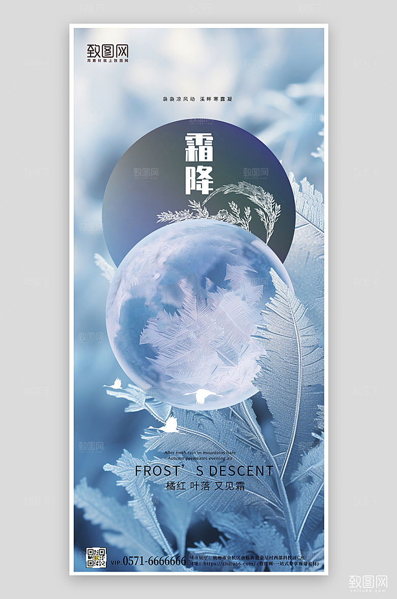 传统节气霜降冰晶结霜手机海报