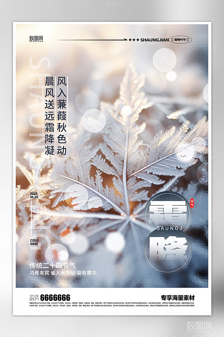 霜降节气简约海报
