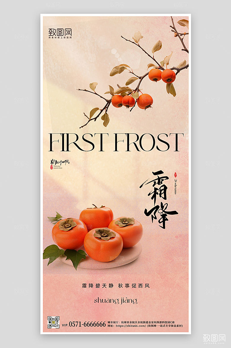 传统节气霜降柿子手机海报