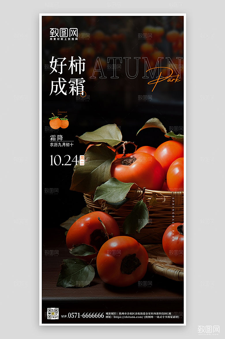 传统节气霜降柿子摄影图手机海报