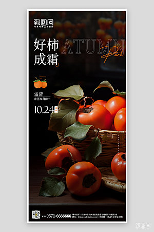 传统节气霜降柿子摄影图手机海报
