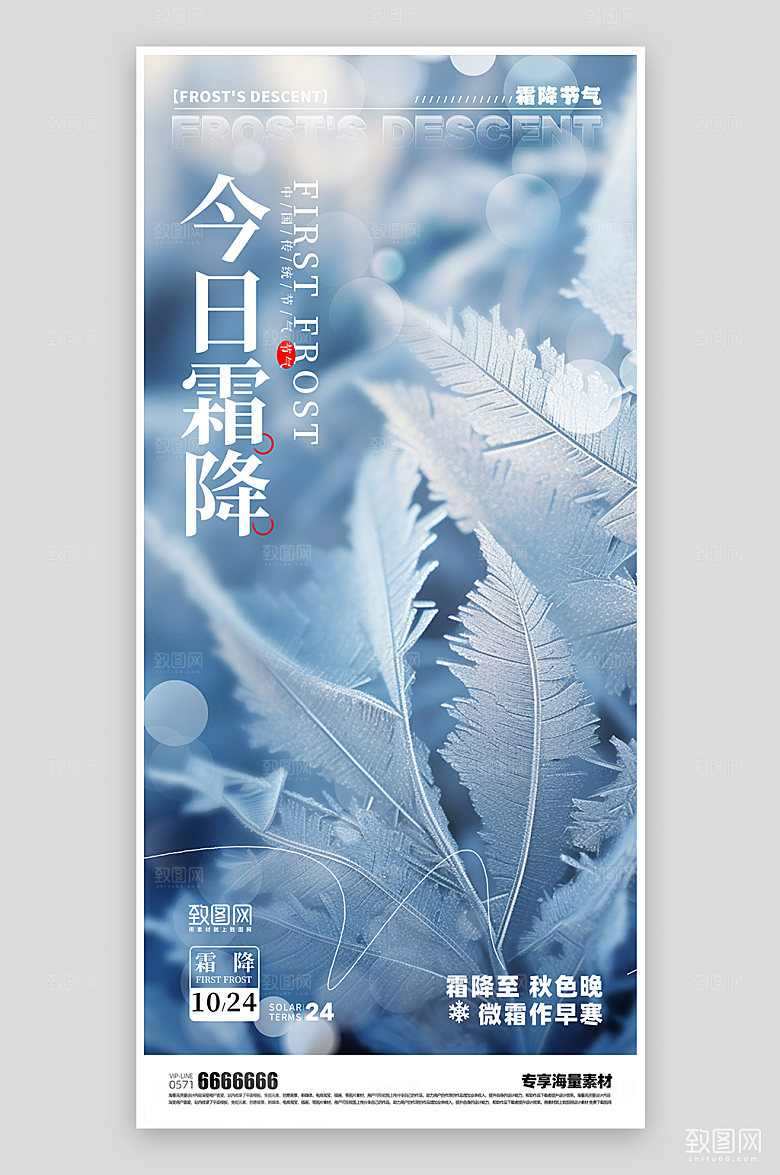 霜降节气简约海报