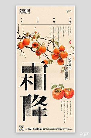 传统节气霜降柿子简约文字手机海报