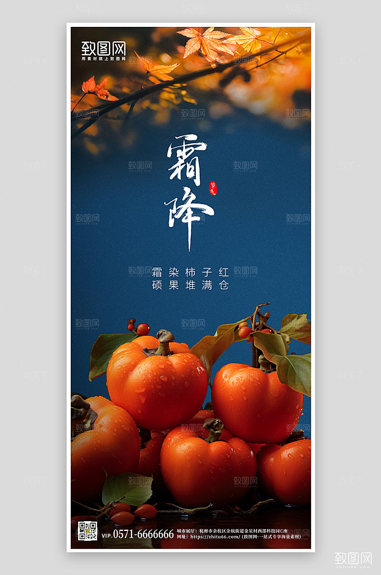 中国传统节气霜降柿子简约手机海报