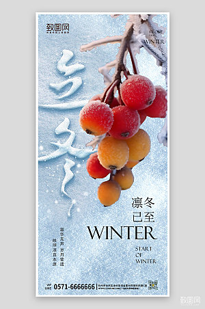 中国传统节气立冬柿子手机海报