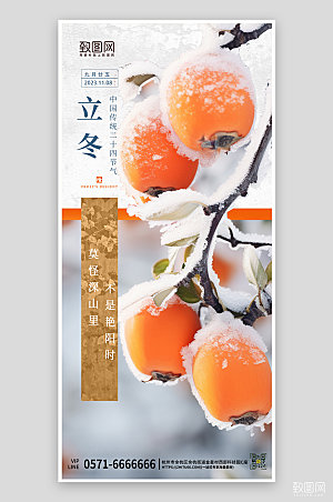 中国传统节气立冬柿子简约手机海报