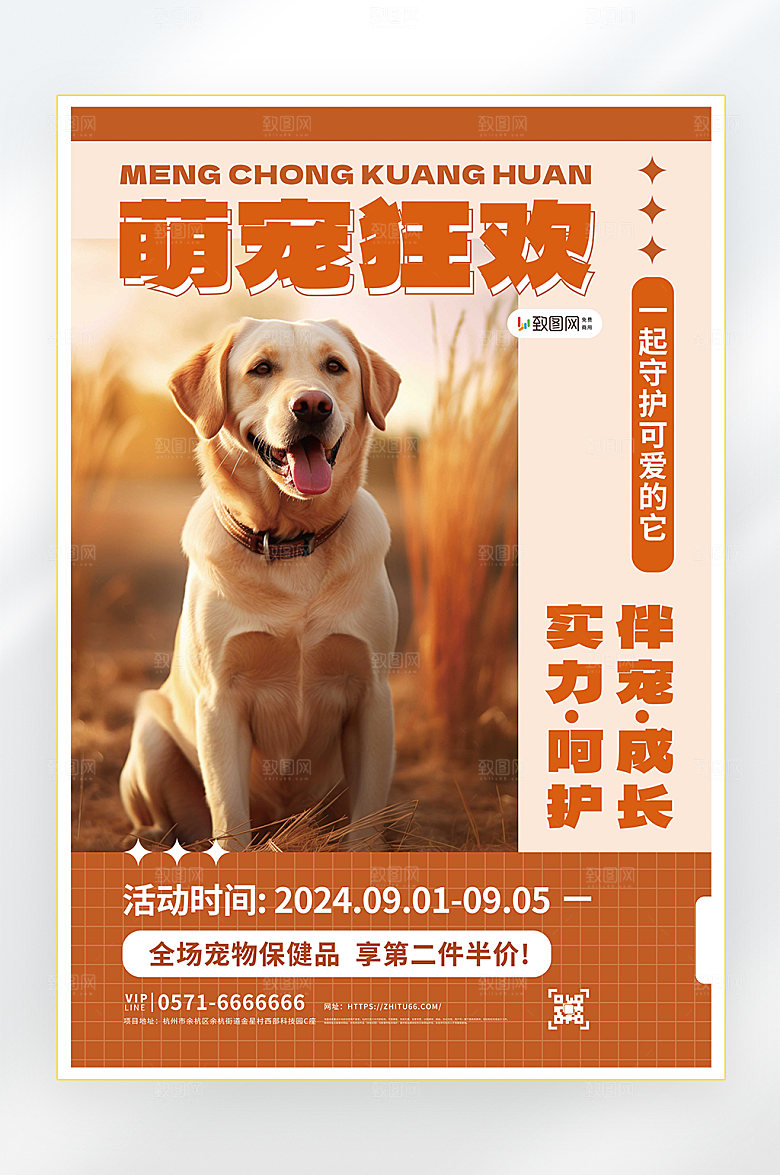 宠物医院产品促销海报