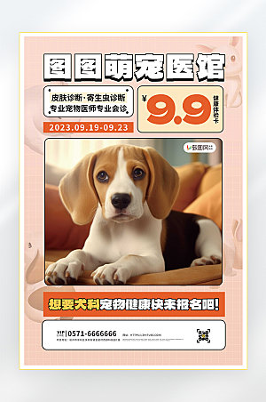 宠物医院产品促销海报