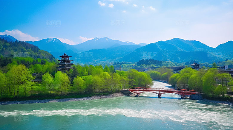 四川景区森林摄影图