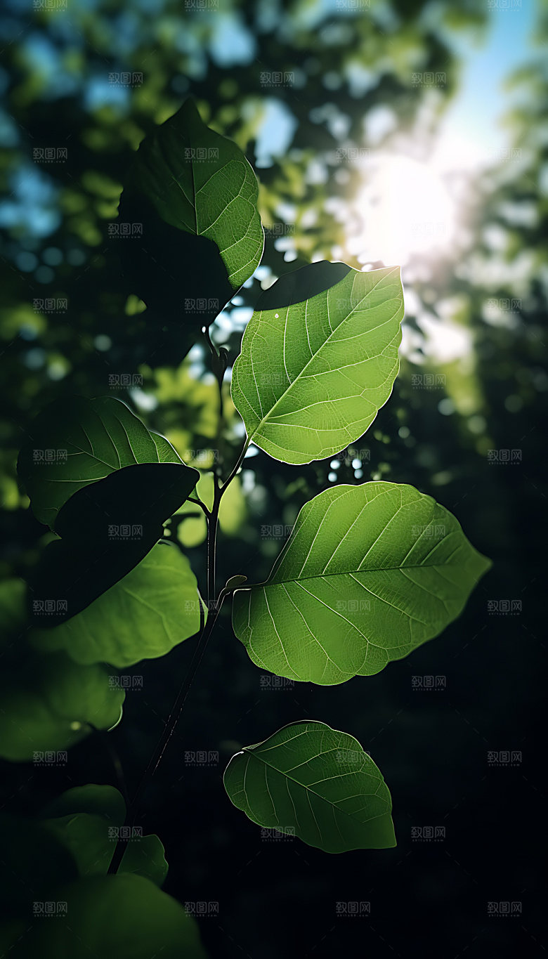 处暑清凉夏日摄影图