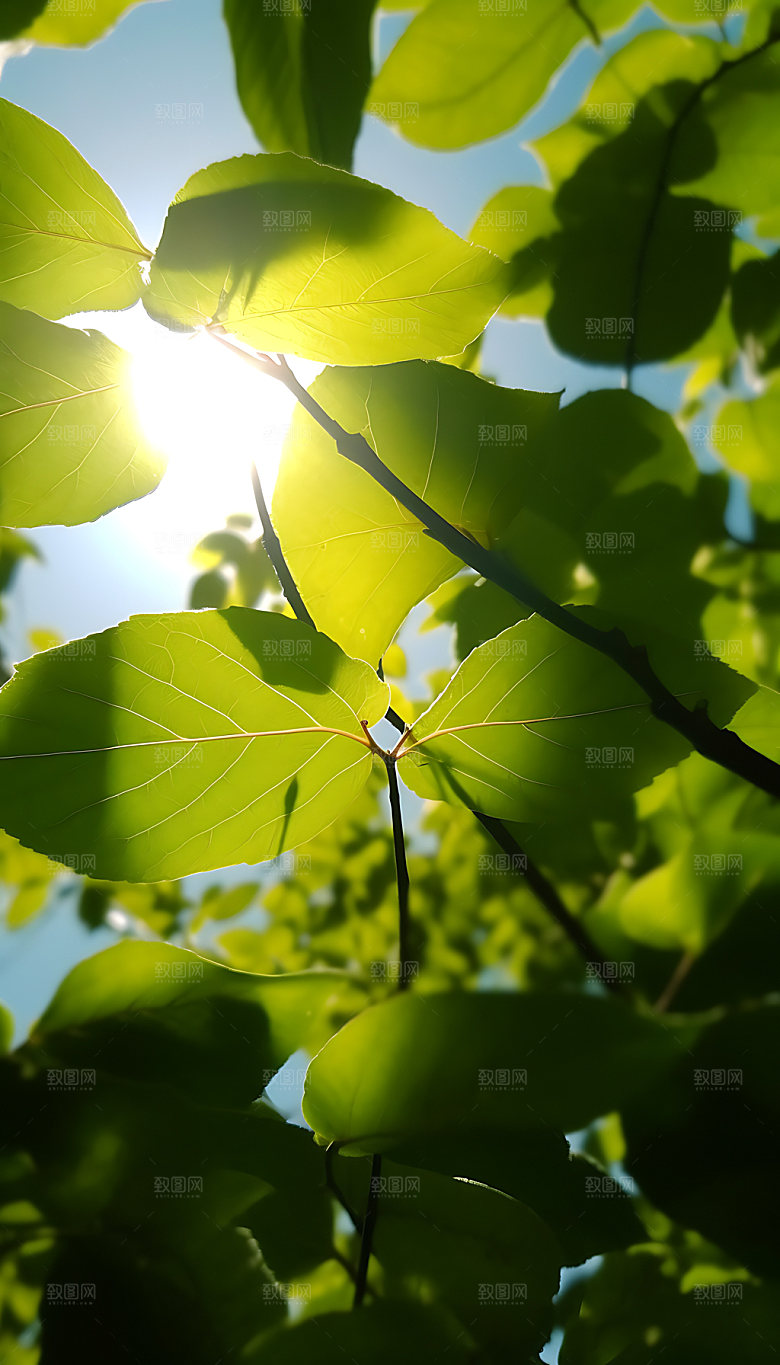 处暑夏季清凉摄影图