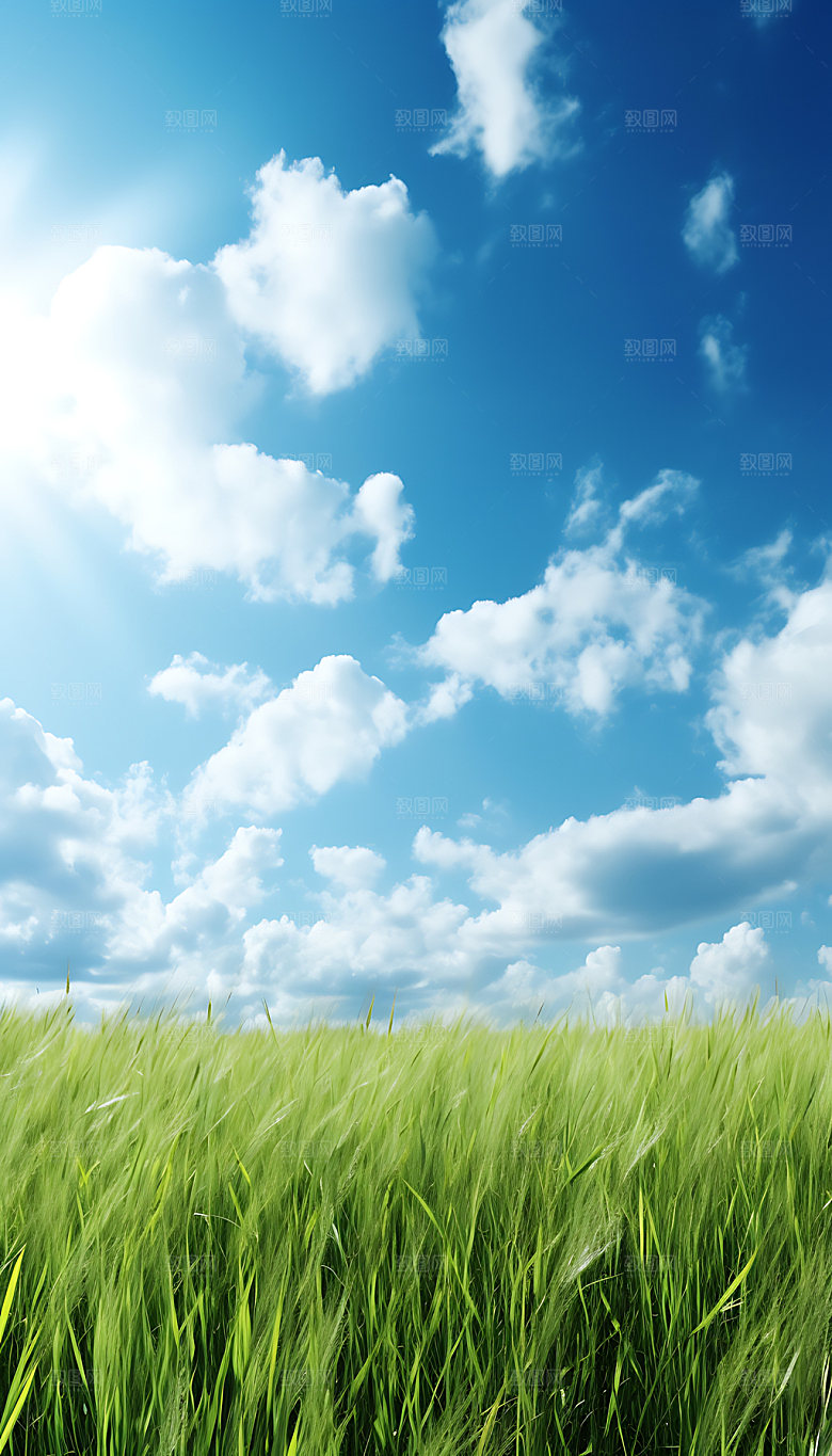 处暑夏季清新摄影图