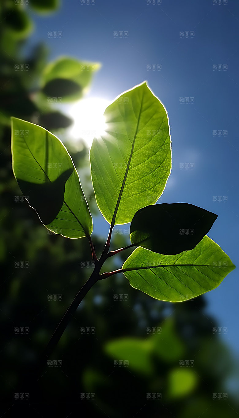大暑炎热节气摄影图