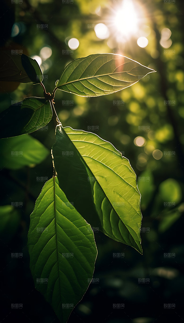大暑清凉消暑摄影图