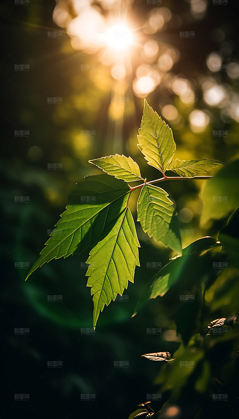 大暑清凉节气摄影图