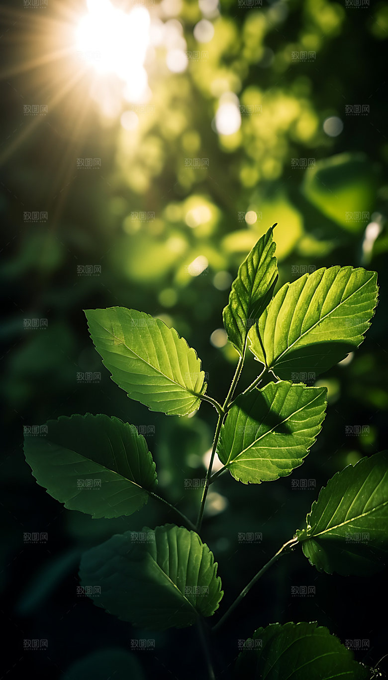 大暑夏季清凉摄影图