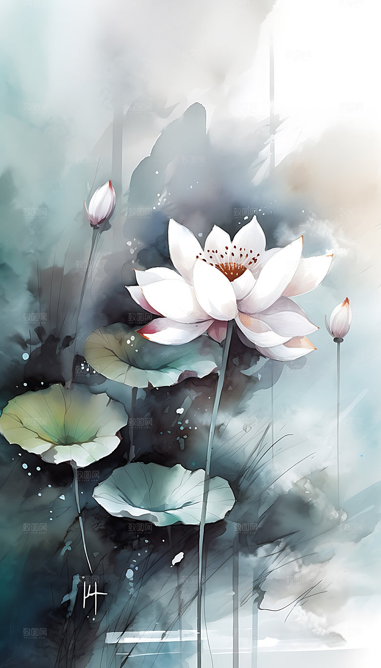 荷花花卉手绘插画