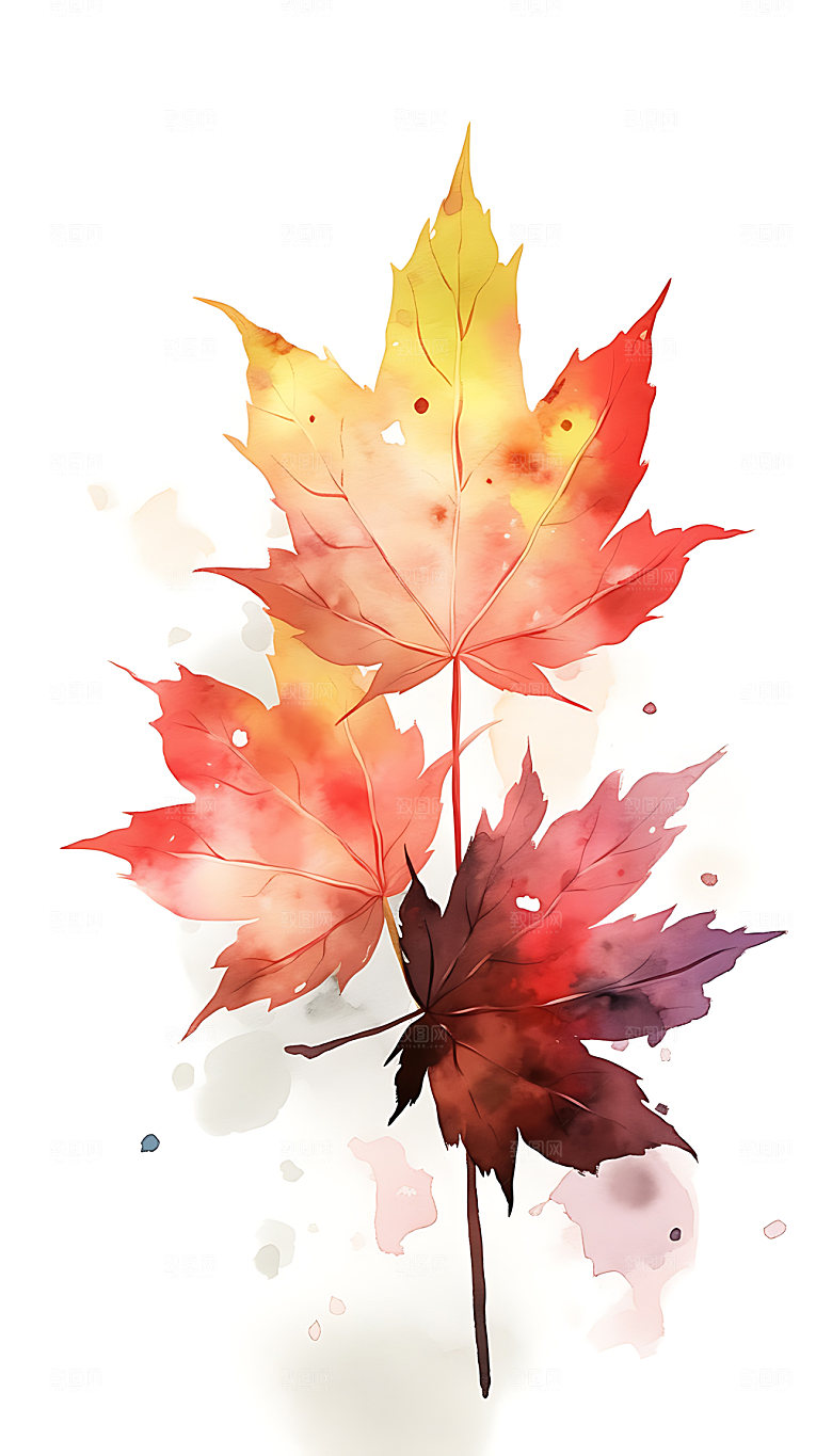 立秋节气秋日插画